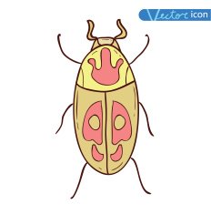 beetle cartoon bug insect icon vector illustration N11