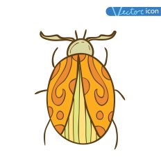 beetle cartoon bug insect icon vector illustration N12