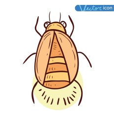 beetle cartoon bug insect icon vector illustration N13