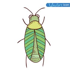 beetle cartoon bug insect icon vector illustration N17