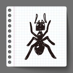 ant doodle N2