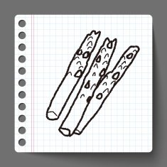 asparagus doodle N2