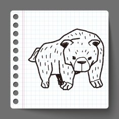 bear doodle N13