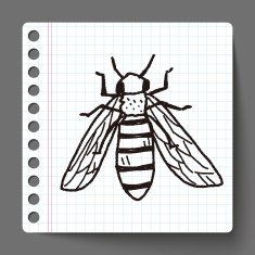 bee doodle N5