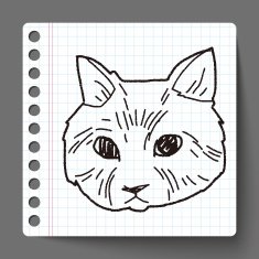 cat doodle drawing N24