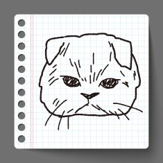 cat doodle drawing N25