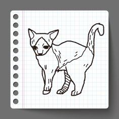 cat doodle drawing N26