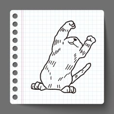 cat doodle drawing N30