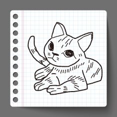 cat doodle drawing N33