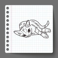 cat doodle drawing N34