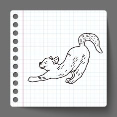 cat doodle drawing N36