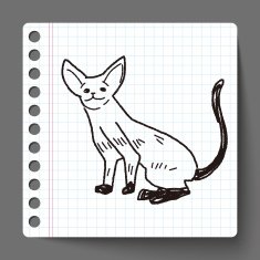 cat doodle drawing N37