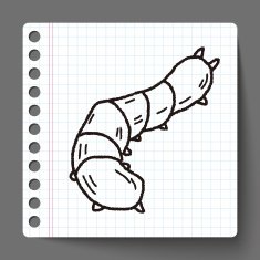 caterpillar doodle N5