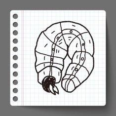 caterpillar doodle N8