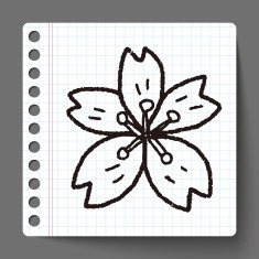 Cherry blossoms doodle