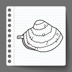 clam doodle N2