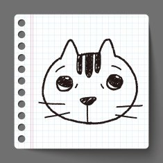 Doodle Cat N6