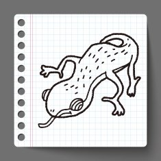 Doodle Lizard N3