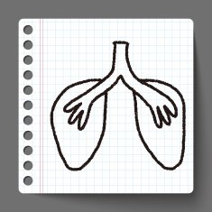doodle lung N6