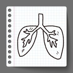 doodle lung N7