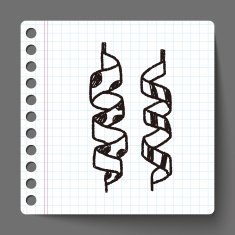 doodle ribbon N5