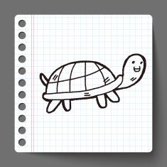 doodle tortoise N4
