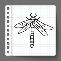 Dragonfly doodle N2