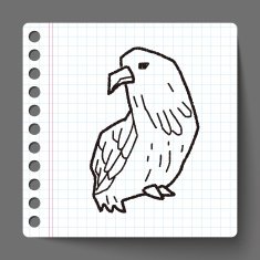 eagle doodle N2