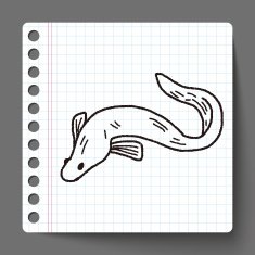 Eel doodle N2