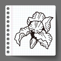 Flower doodle N116