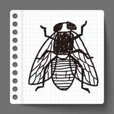 fly bug doodle N3