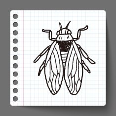 fly bug doodle N4