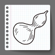 Gourd doodle