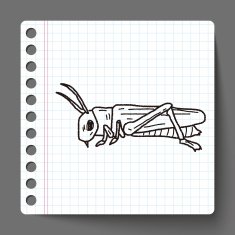 grasshopper doodle N3