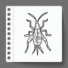 insect doodle N11