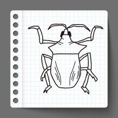 insect doodle N12
