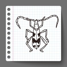 insect doodle N13