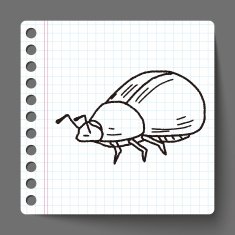 insect doodle N14