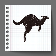 kangaroo doodle N3