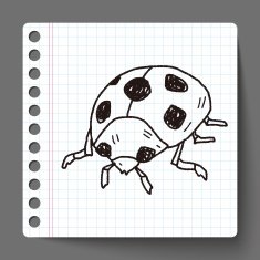 Ladybug doodle N4