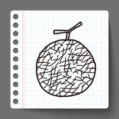 melon doodle N2