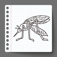 mosquito doodle N2