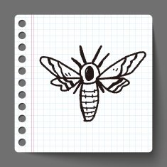 Moth doodle N2