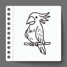 Parrot doodle N7