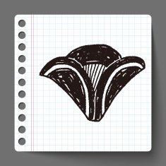 pirate hat doodle N9