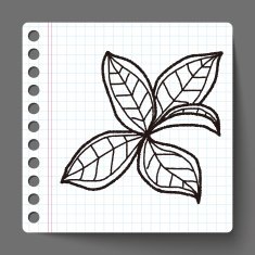 plant doodle N79