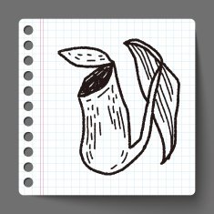plant doodle N84