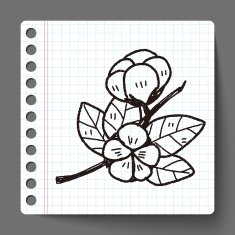 plant doodle N91