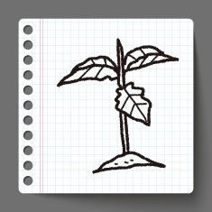 plant doodle N95