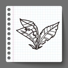 plant doodle N115